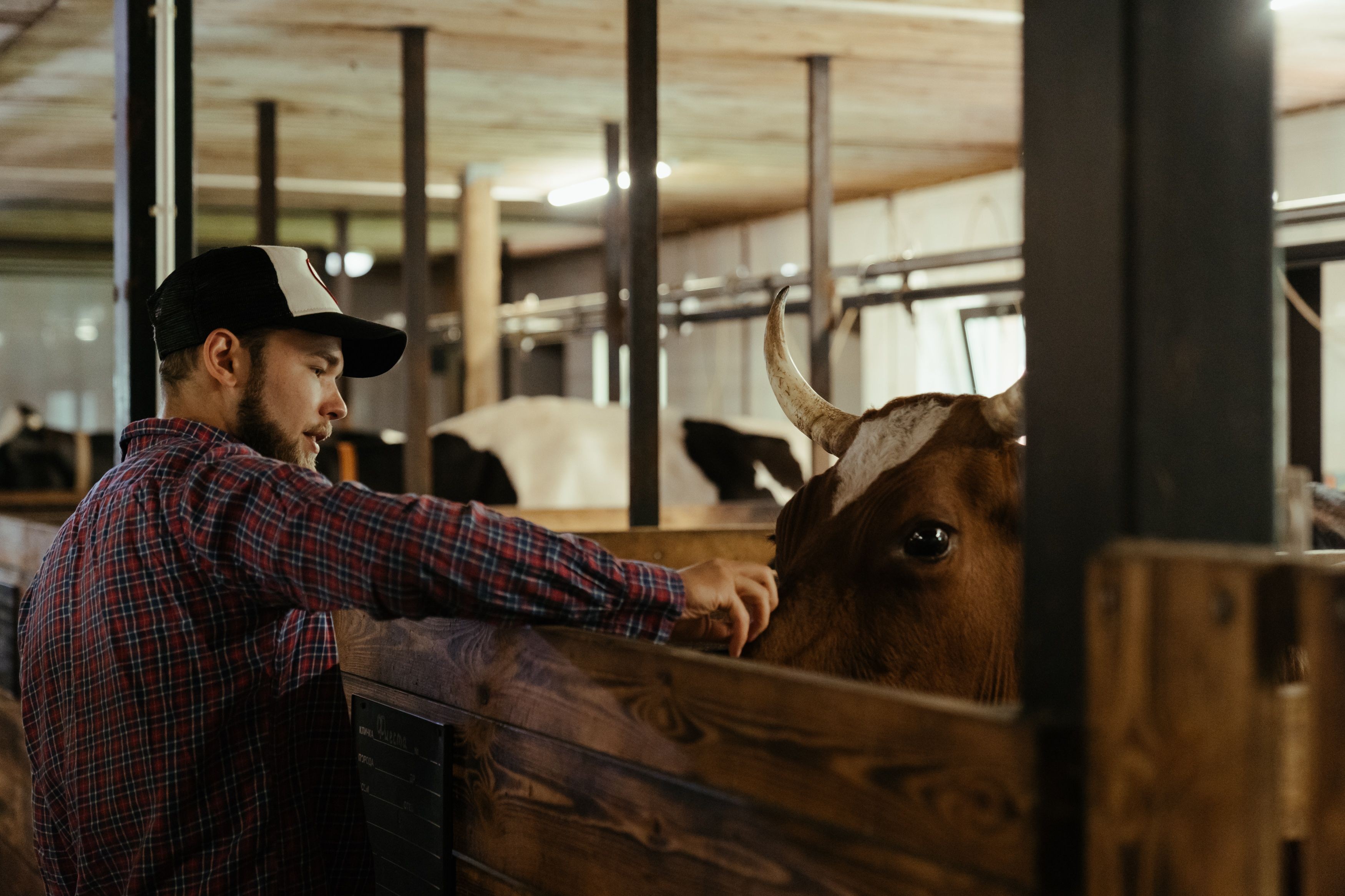 Farm business reporting: what lenders actually read
